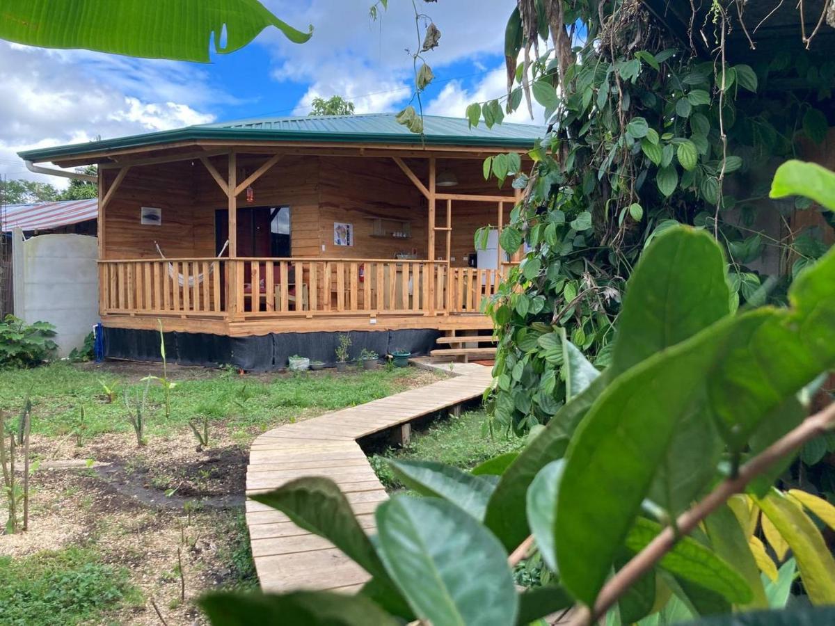 Homestay Baobab